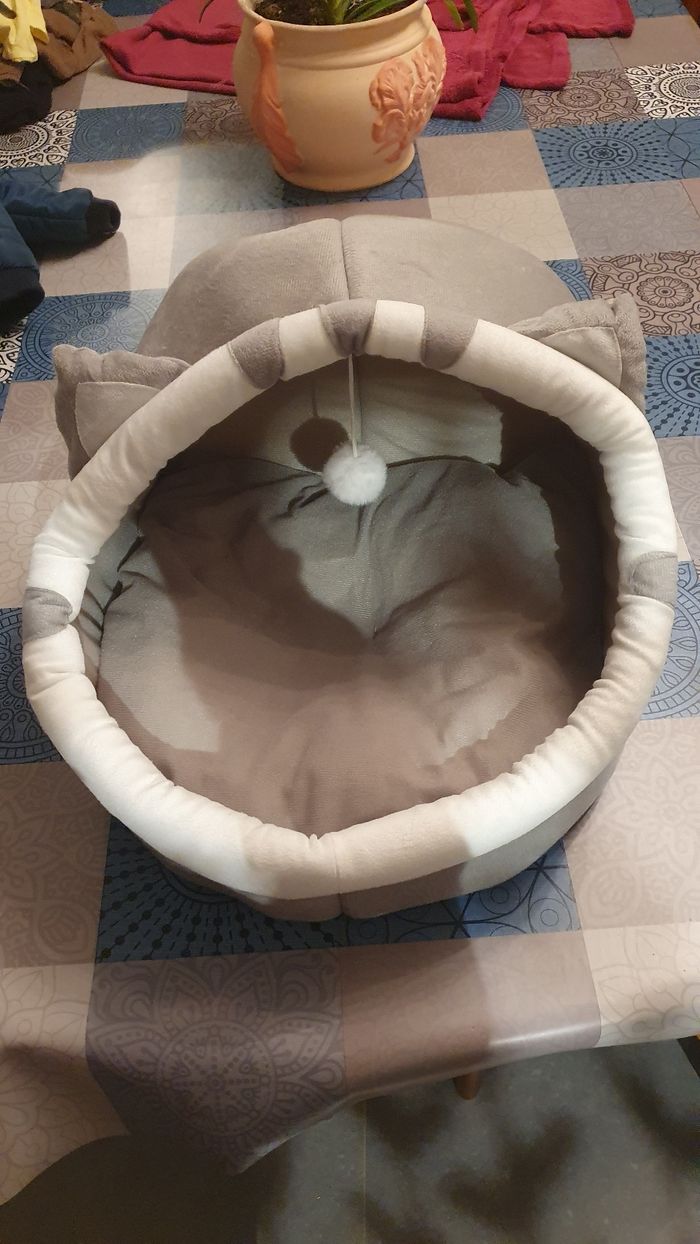 Panier dodo chat - photo numéro 2