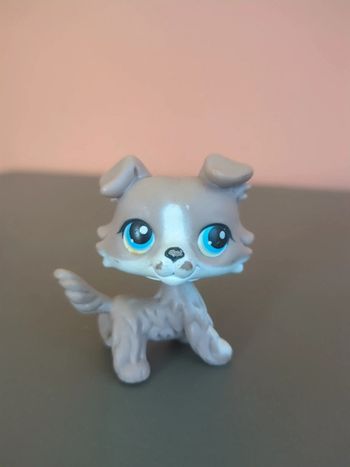 littlest petshop chien