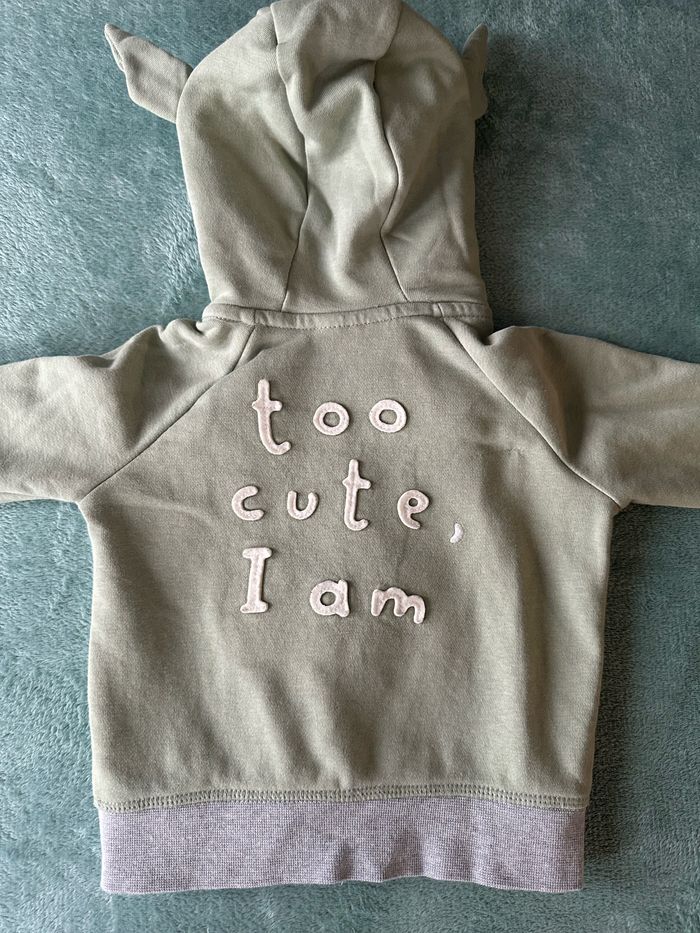 Gilet zippé - photo numéro 2