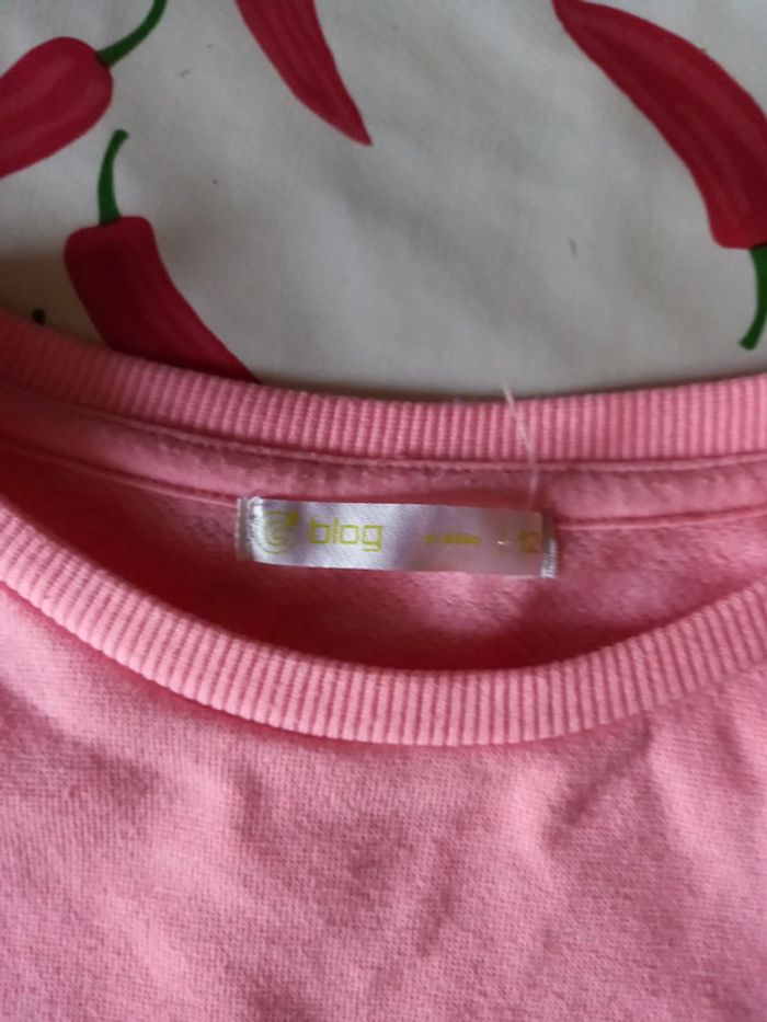 Pull gemo 12ans - photo numéro 2