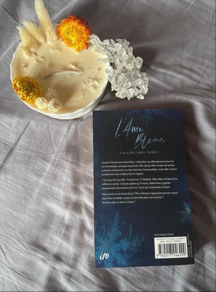 Livre L’âme bleue « Saga des âmes » Tome 1 - photo numéro 3
