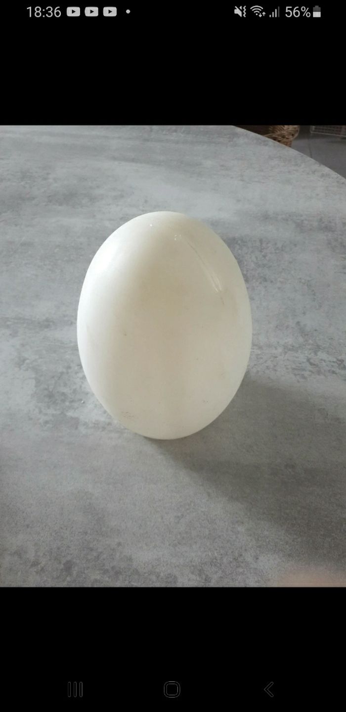 Veilleuse œuf multicolore