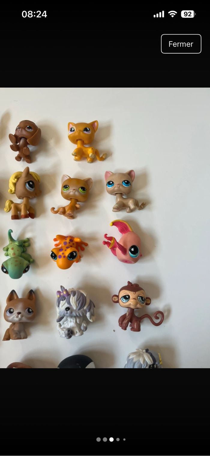 Petshop à l’unité - photo numéro 3