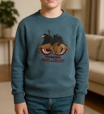 Très beau pull à longue manche pour garcon