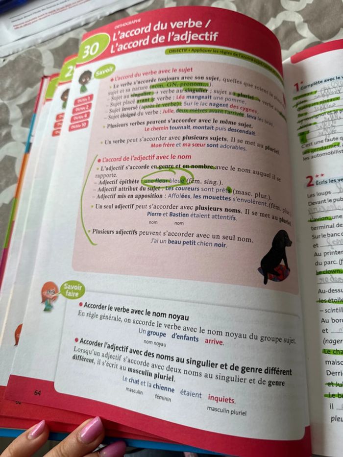 L année de CM2 bordas - photo numéro 5