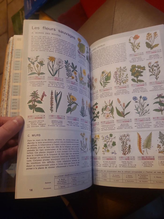 Guide de la route d'europe - photo numéro 10