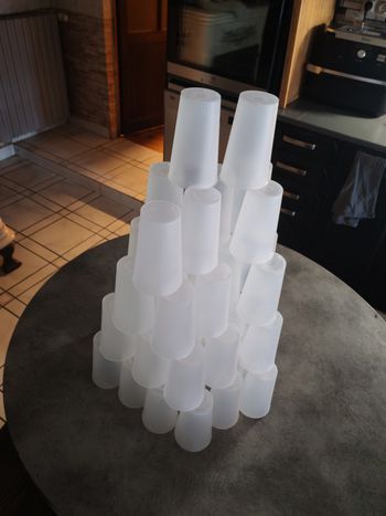 Lot de 50 ecocups