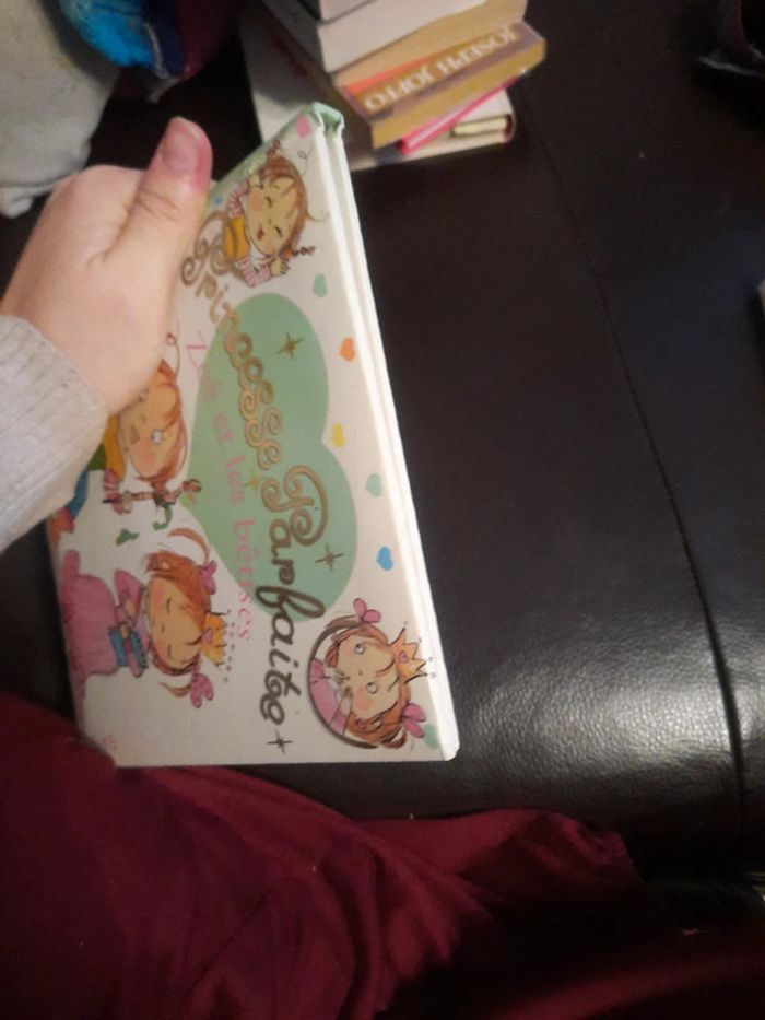 Livre princesse parfaite - photo numéro 5