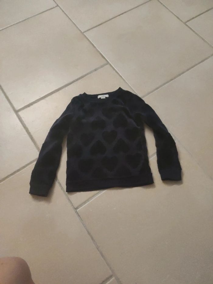Pull polaire