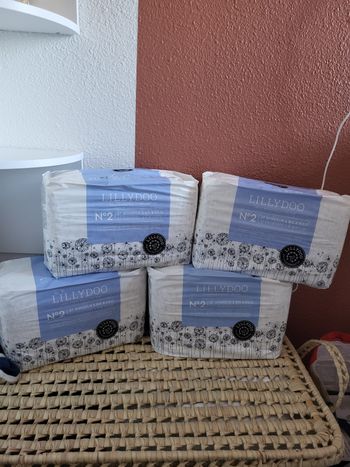 Couches lillydoo taille 2