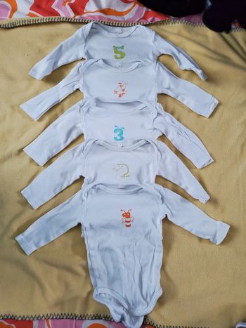 Lot 5 bodies ML mixte 74 cm