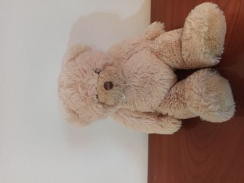 ourson calin histoire d'ours
