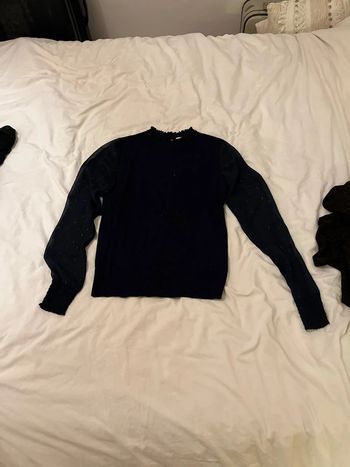 Pull camaïeu manche plumetis