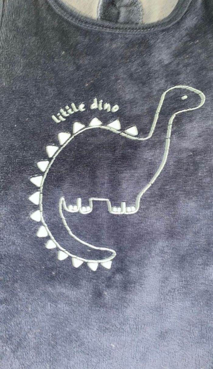 Pyjama dinosaure - photo numéro 2