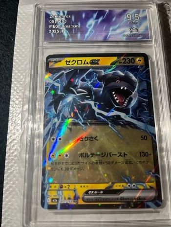 Zekrom Pokémon 