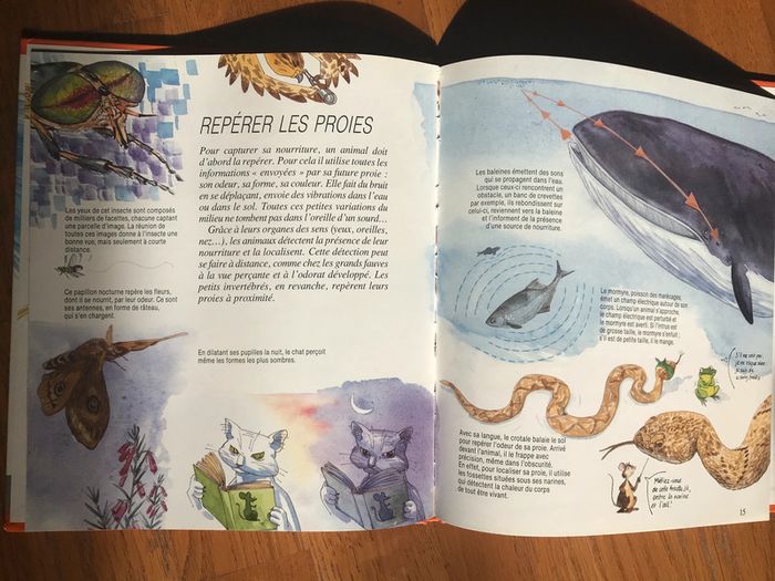 Armés pour la vie - Voyage En Cyclopédie - photo numéro 3