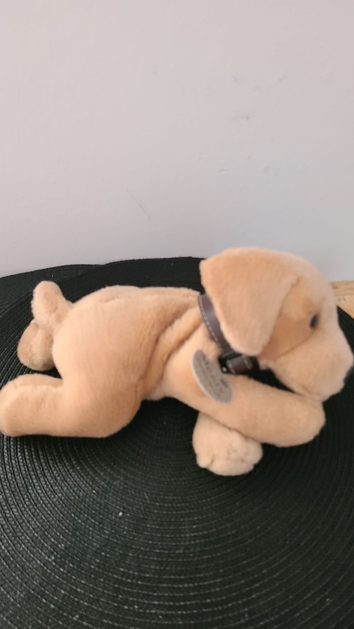 Véritable chiot Labrador doré en peluche « Keel Toys ». Chiot de couleur marron clair/sable avec un - photo numéro 6