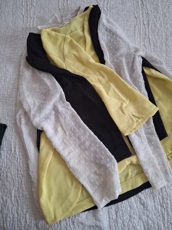 Lot de 3 chemisiers légers taille 38 demi saison