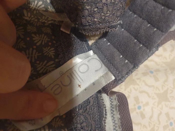 Soutien-gorge - photo numéro 3