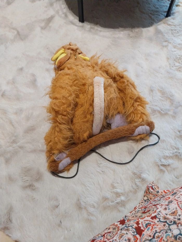 Singe - photo numéro 5