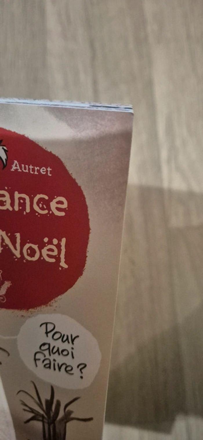 Livre - L'enfance du Père Noël - photo numéro 4