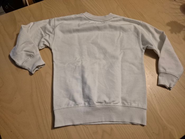 Sweat spiderman - photo numéro 2