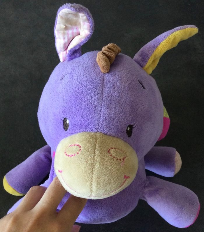 Poney - photo numéro 2
