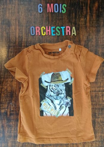 Tee-shirt lion 🦁 6mois