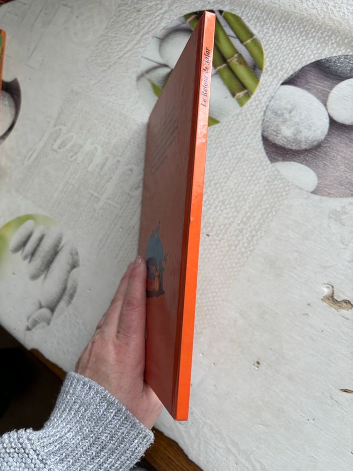 Livre Disney - photo numéro 6