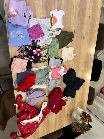 Vend vêtement 9 mois bébé fille