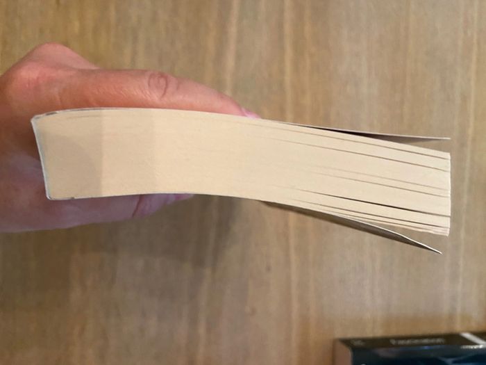 Où vas-tu, Sunshine ? Siobhan Dowd Éditions Gallimard - photo numéro 4