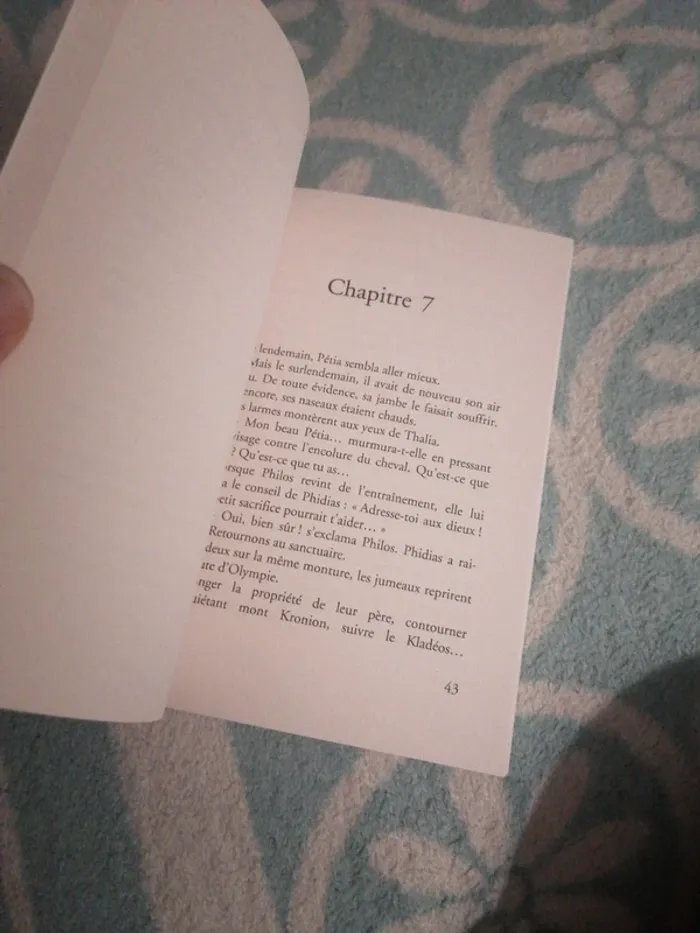 Livre neuf L'histoire au galop Pkj. - photo numéro 3