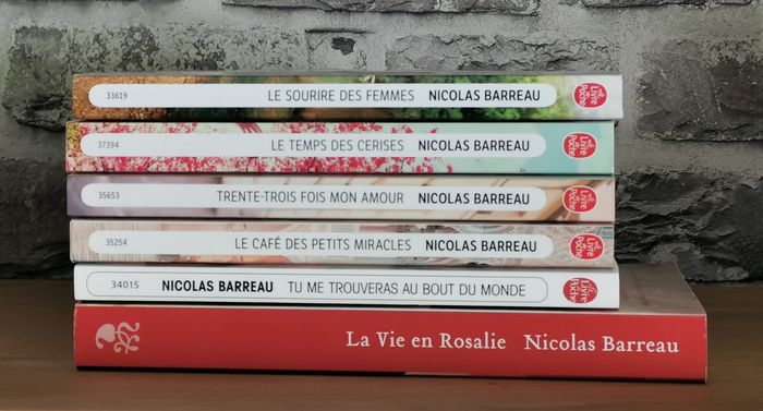 ❤️ Nicolas Barreau - 6 romans - 6 petites pépites ❤️ - photo numéro 2