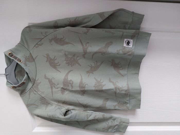 Pull vert dinosaure 10 ans
