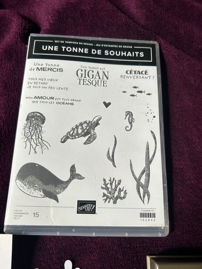 Lot de tampons et perforatrice Une tonne de souhaits Stampin’up! - photo numéro 2