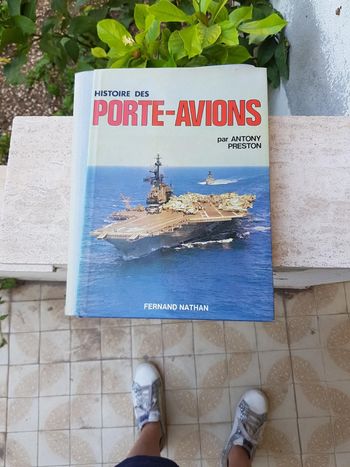 Histoire des porte-avions
