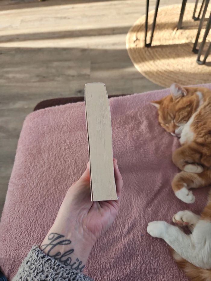 Livre - photo numéro 5