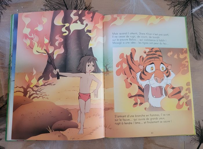 Le Livre De La Jungle Disney - photo numéro 6