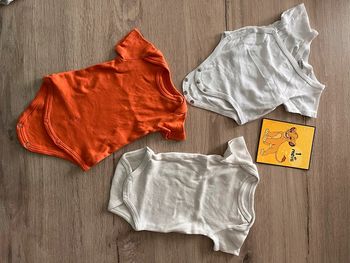 Body manches courtes 1 mois