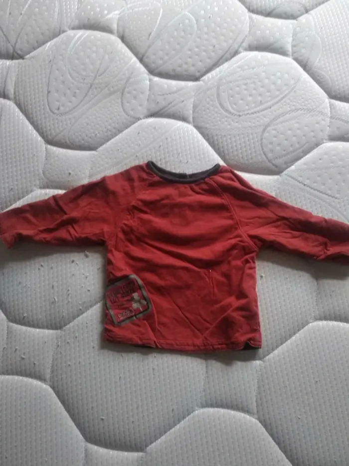 Lot de 12 Tee Shirt Garçon - photo numéro 4