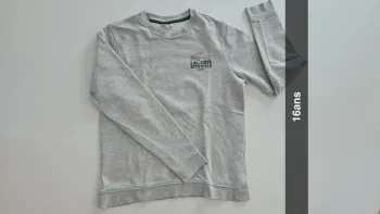 Sweat lacoste