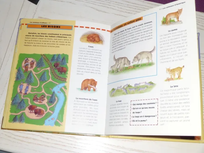 livre animaux d'Ici et d'Ailleurs  livre illustré - photo numéro 3