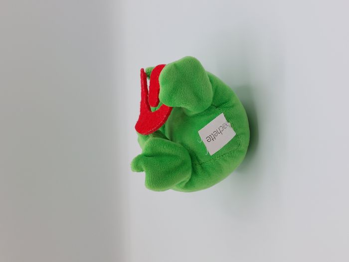 Peluche doudou grenouille verte HACHETTE lettre G rouge 14 cm - photo numéro 3