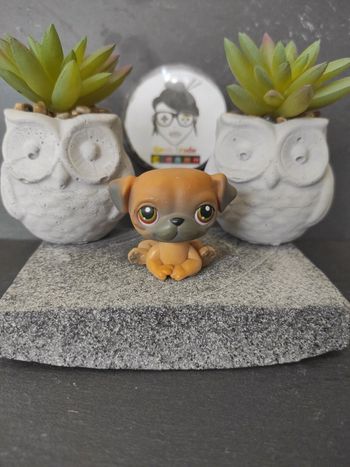 My Littlest Petshop LPS dog chien carlin 02 #geektradelpschien