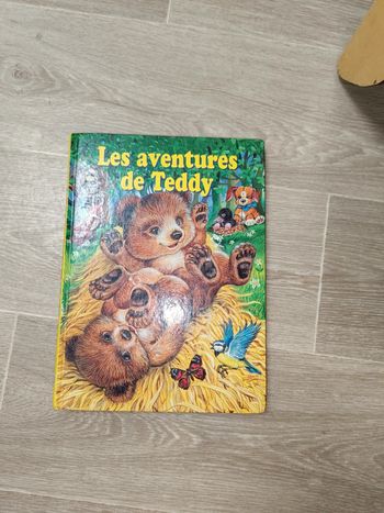 Les aventures de Teddy
