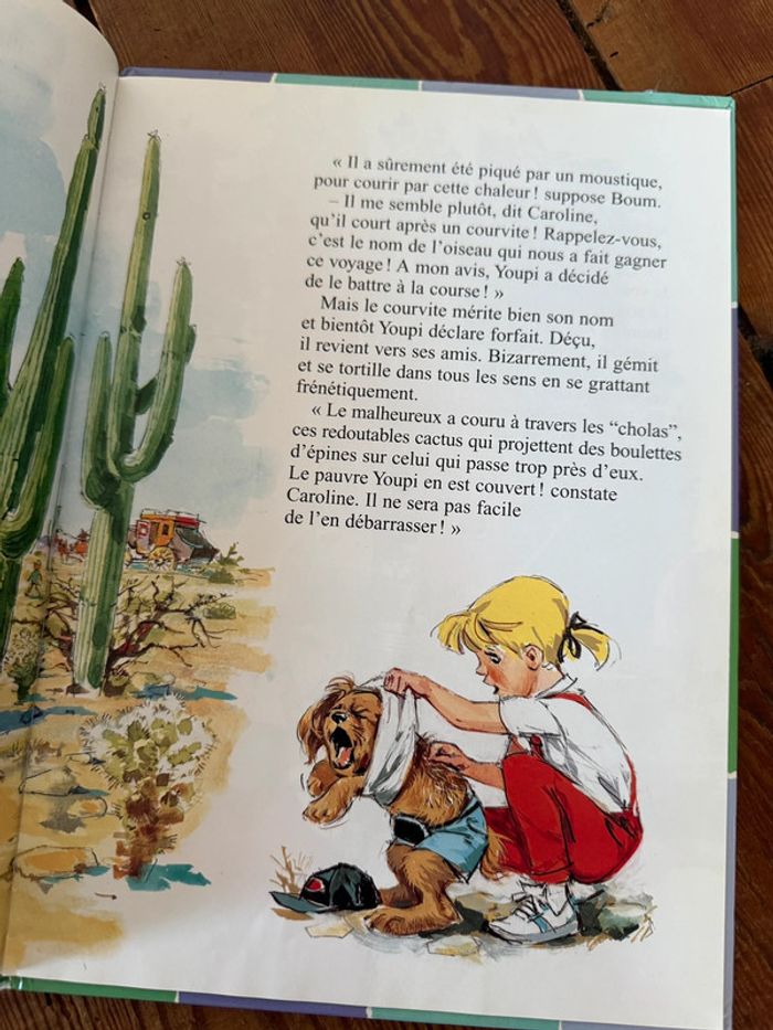 État moyen - Livre Caroline en Amérique édition damiers bd album multicolore - photo numéro 6