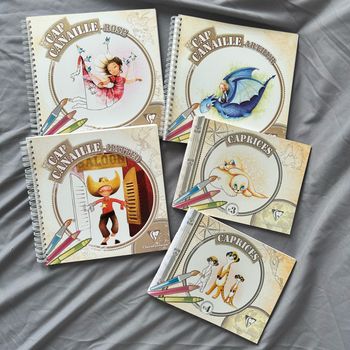 Lot 5 livres de coloriages Claire fontaine