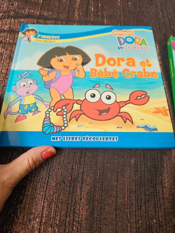 2 livres Dora - photo numéro 5