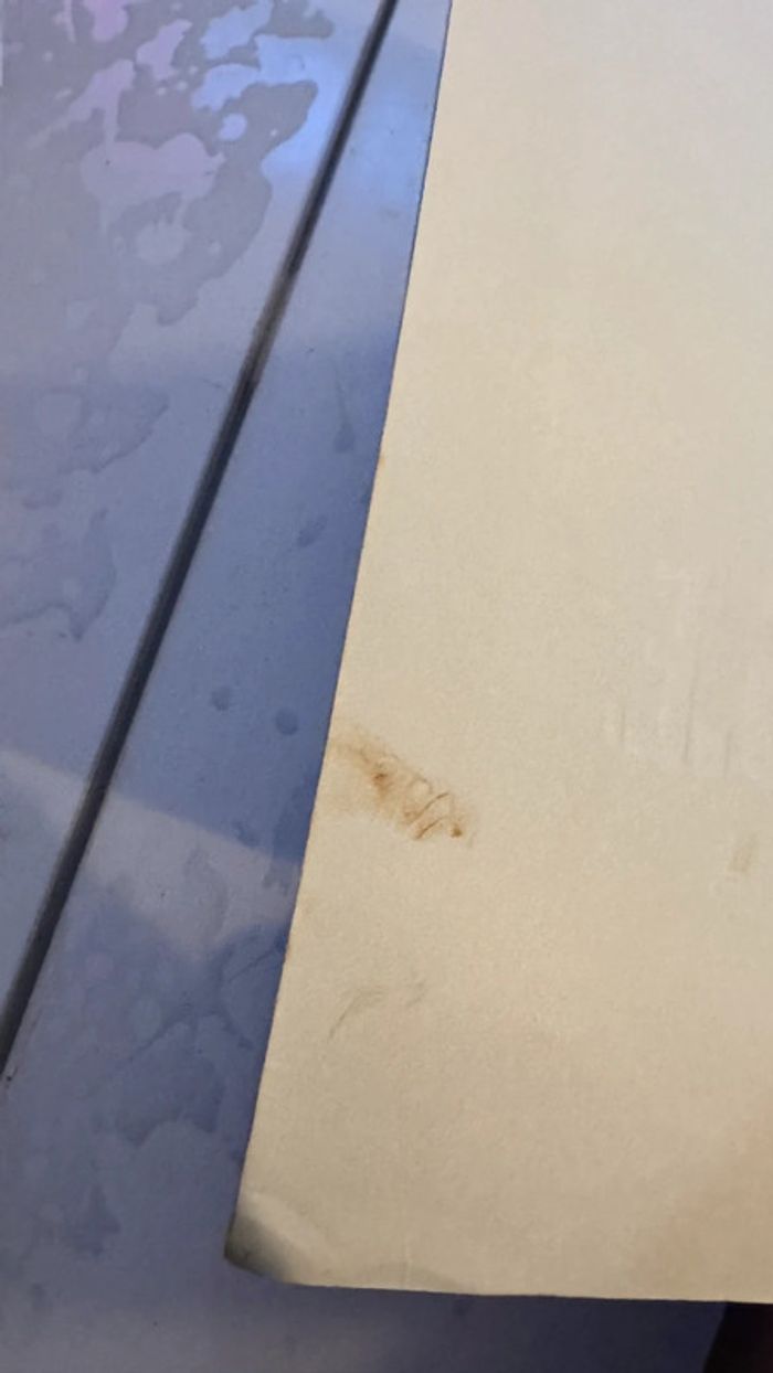 A.N.G.E Tome 2 : Reptilis - Anne Robillard - Bon état - photo numéro 4