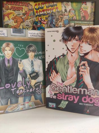 Lot 2 mangas Lovely Teacher et The Gentleman and the Stray Dog tome 1 et one shot